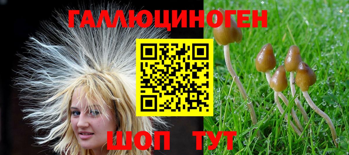 Псилоцибиновые грибы Magic Shrooms  Псилоцибиновые грибы ЛСД  Вход с VPN  Ступино 